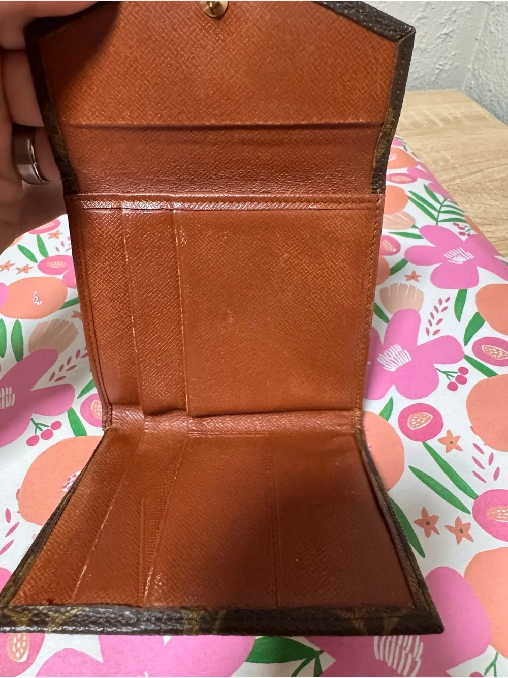Louis Vuitton classic louis